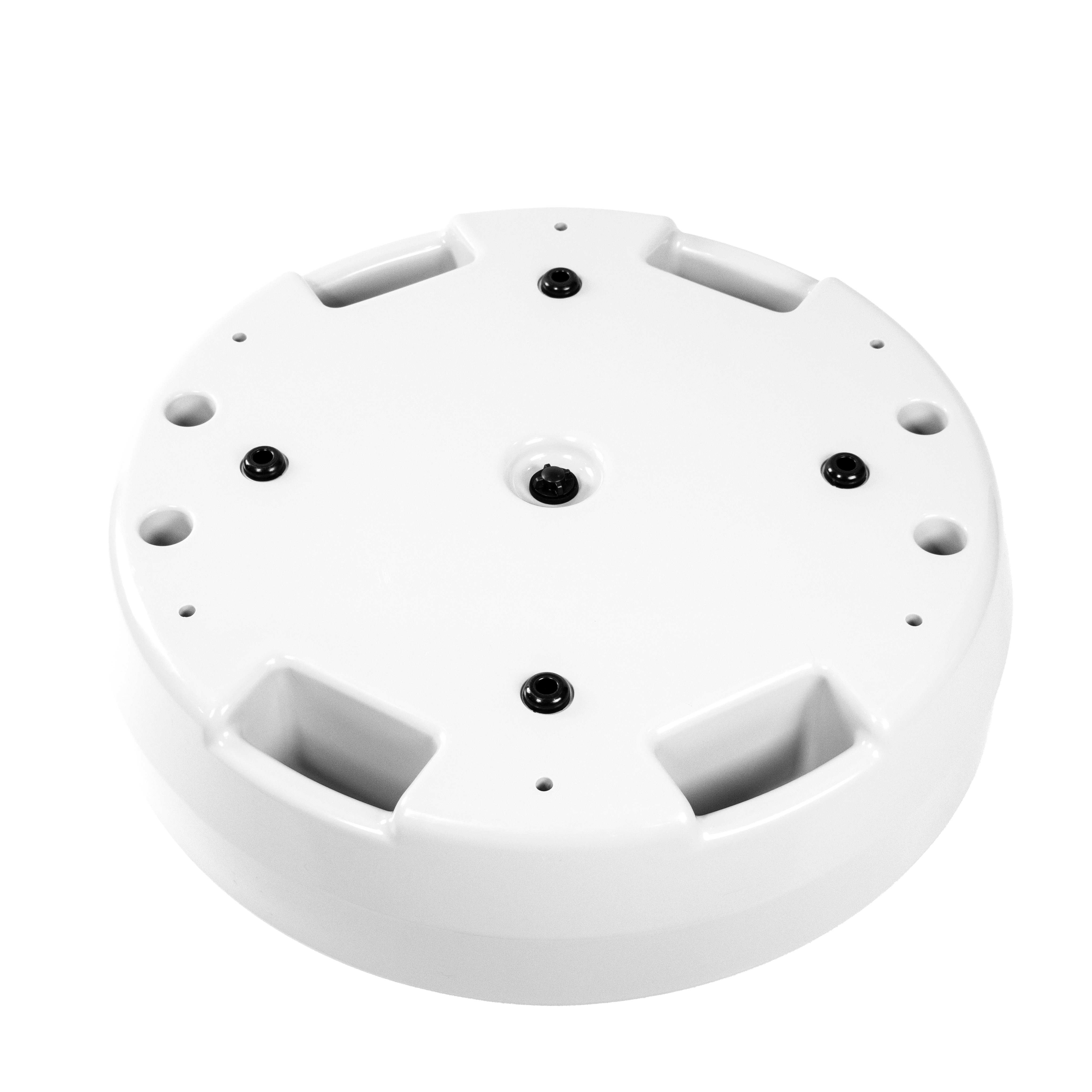 ICEBRG 45 - Pearl